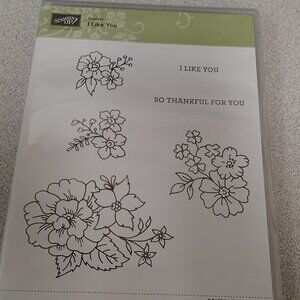 Stampin Up! Hostess I like You, so Thankful For You